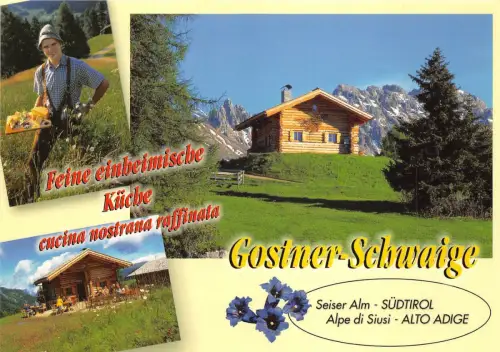 BG28028 Malga Gostner Schwaige Seiser Alm Seiser Alm Dolomiti Italien