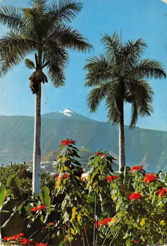 B67129 Spanien Botanischer Garten Teneriffa Puerto de la Cruz