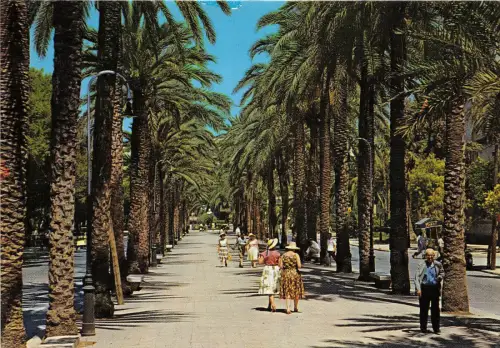 BR21608 Passeo de Sagrera Palma de Mallorca Spanien