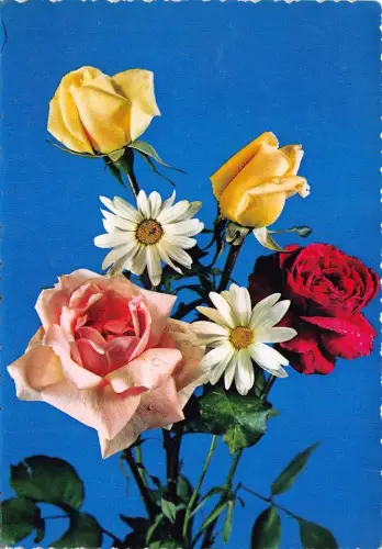 B52072 Fleurs Flowers