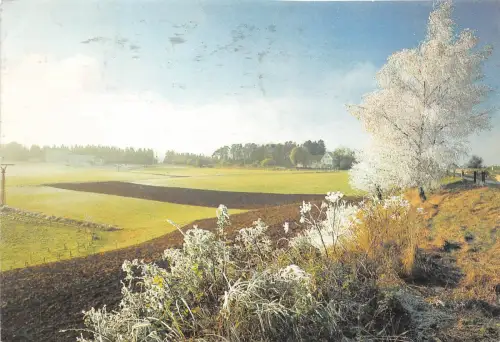 B34677 Rauhreifmorgen Landschaft Deutschland