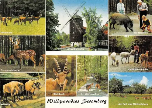 B29461 WildParadies Stromberg Tiere