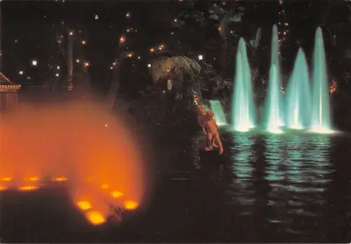 B96465 funchal madeira aspecto nocturno portugal