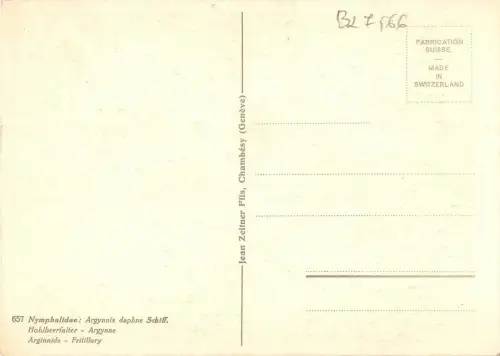 B27566 Papilons Fritillary Schweiz