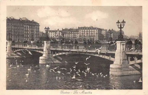 B37283 Geneve Les mouettes switzerland