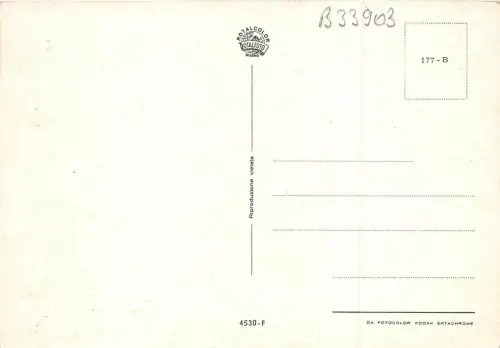 B33903 Venezia Italien