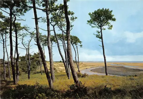 BR1968 Frankreich La Tranche sur Mer Baie de la Belle Henriette