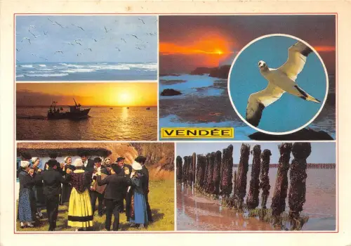 BR582 France Vendee birds oiseaux multi vues