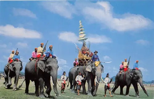 B70316 Tiere Animaux Elefanten