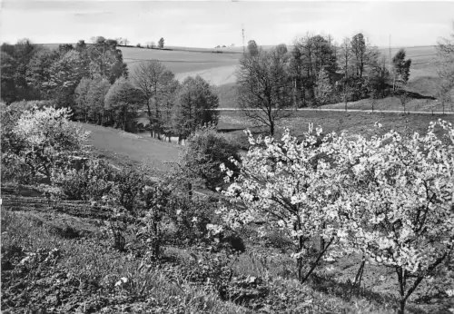 B34709 Die Besten Wunsche Landschaft Pfingsten Pfingsten Deutschland