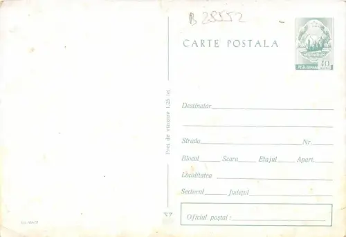 B28552 Tier Katze Chat Ente Rumänien Ganzsache