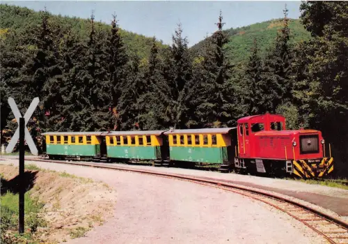 BC59457 Zug Szilvasvaradi Erdei Vasut chemin a fer Eisenbahn