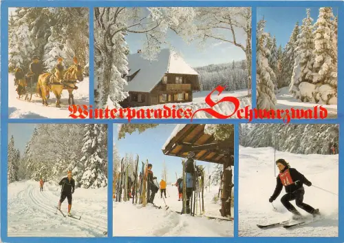 B70283 Sport Ski Sky