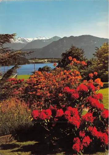 B34852 Am Vierwaldstatter See Schweiz switzerland