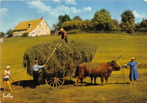 BR23019 Kuhvacher Le Temps des Foins france