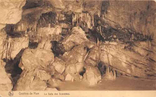 Br36015 Grottes de Han La Salle des Scarabees Belgien