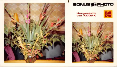 B54074 Publicite Kodak Phato Flowers Fleurs