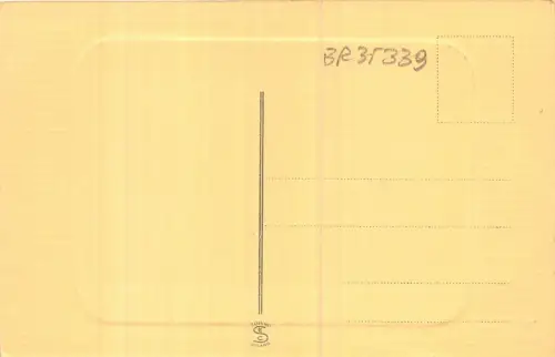 Br35339 Torino Panorama Italien
