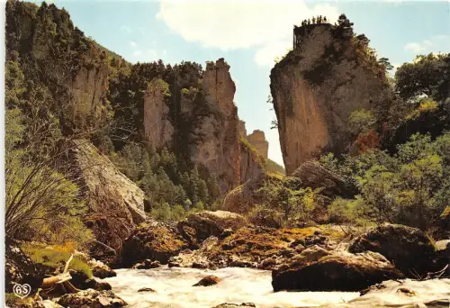 B50330 Les Gorges du Tarn france