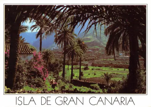 BG27698 islas canarias valle de agaete spain