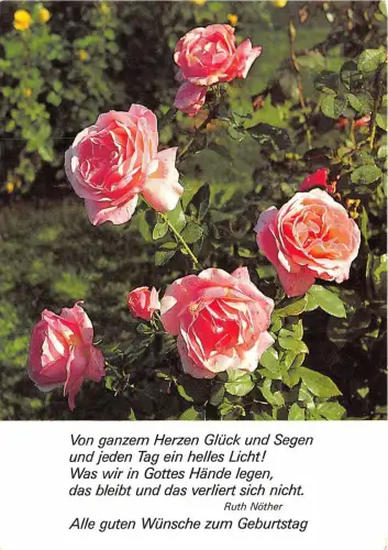 B53968 Blumen Fleurs alle guten Wünsche zum Geburtstag Geburtstag