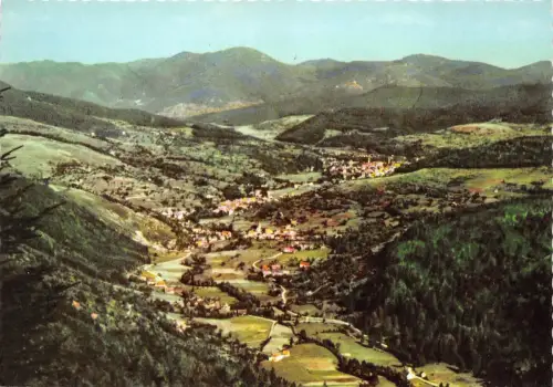 BR3428 Vallee de Munster Frankreich