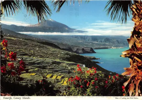 B33111 Teneriffa Spanien