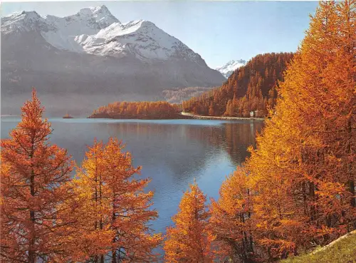 BR21253 Silsersee mit la Margna Engadin Schweiz