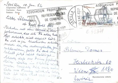 B43871 Chevreau Hirsch Kalb Tiere