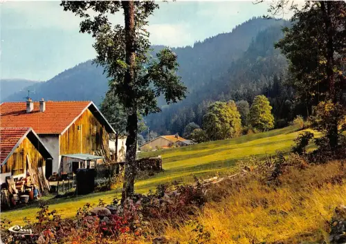 BR2540 Frankreich Vogesen Panorama