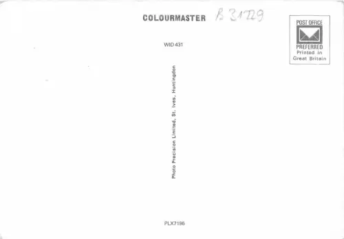 B31229 Cast Terrace and Barbens Windsor Castle uk