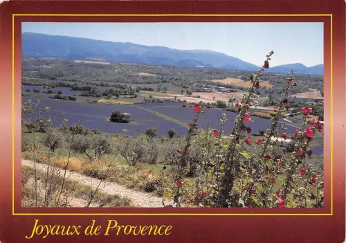 B49665 Provence Panorama Paysage d'ete Frankreich