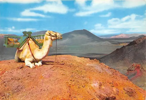BG11865 lanzarote montana de fuego camel spain