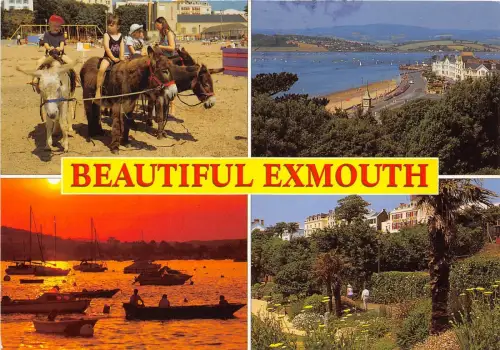 BT18444 exmouth donkey ane uk