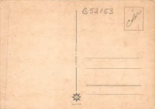 B52153 Blumen Fleurs de Champ