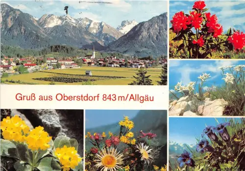 BG12879 Gruss aus Oberstdorf Allgau Flower Germany