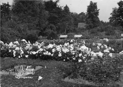 B35182 Rosengarden Germany