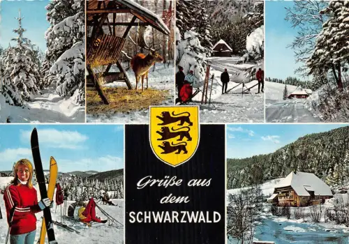B56378 Schwarzwald Hirsch Ski Himmel Multiviews Germany