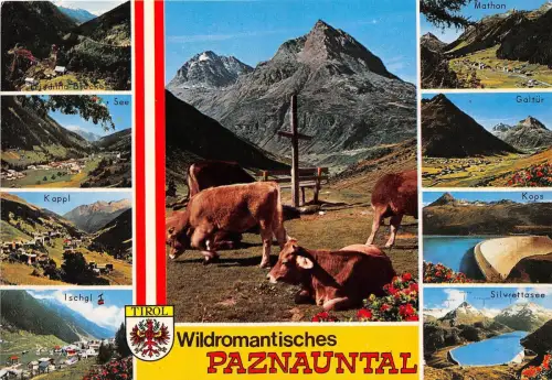 BG11725 Kuh vache wildromantisches Paznauntal Kappl Galtur Mathon Österreich