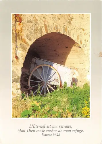 B51458 Tiere Animaux unser Bär