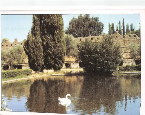 B33780 Villa Adriana Il Lago del Pecile italien