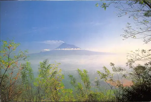 BR4880 Landschaftspflanzen