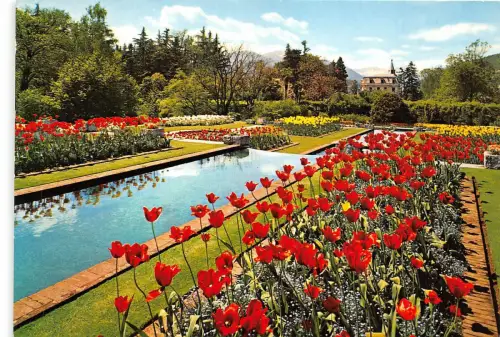 BG13686 giardini di villa taranto scorcio giardini terrazzati italy