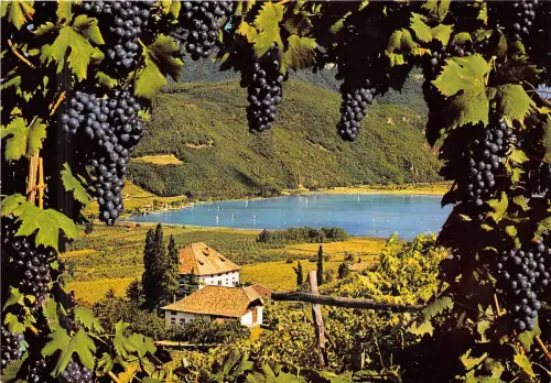 BG17980 schloss ringberg kalterer see bei bozen bolzano italy