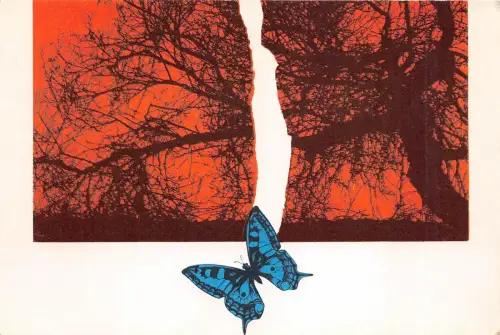 B66006 Tiere Animaux Schmetterling Papillon