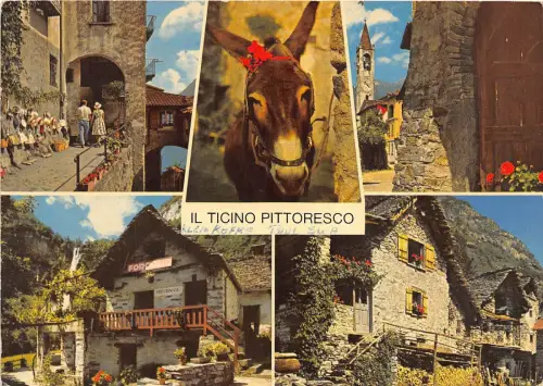 BG12285 Esel Il Tessin Pittoresco Typen Folklore Schweiz
