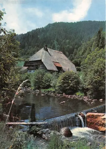 BG12392 schwarzwaldhaus schwarzwald germany