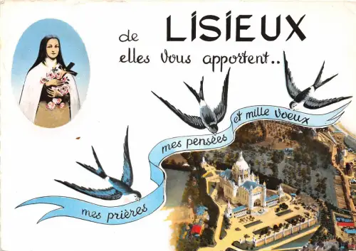 B51097 Lisieux multi vues france