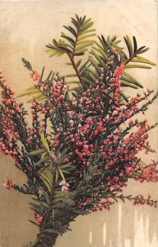 B66341 Fleurs Flowers