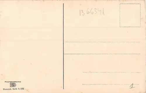 B66341 Fleurs Flowers